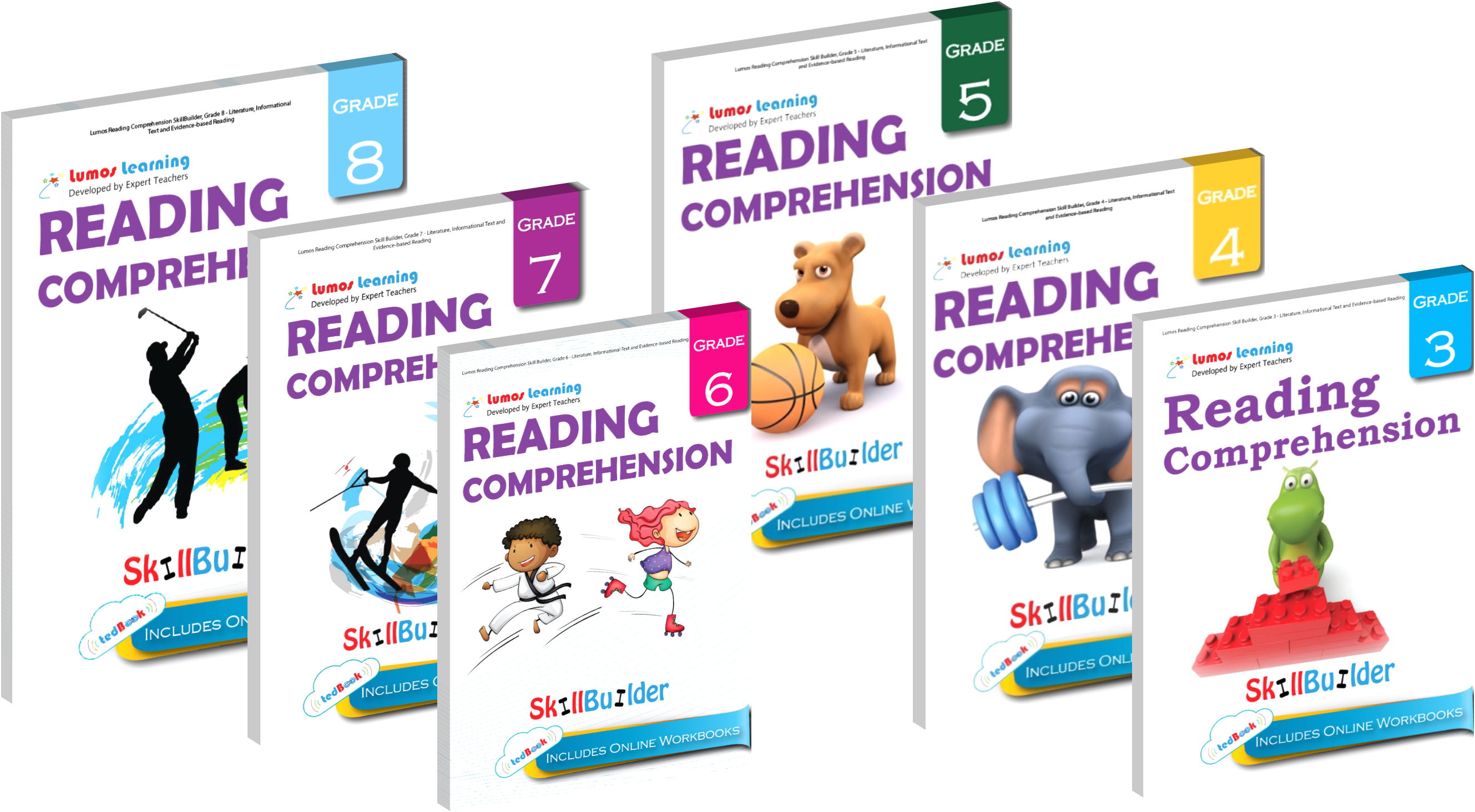 reading comprehension workbooks for grades 3 to 8 students