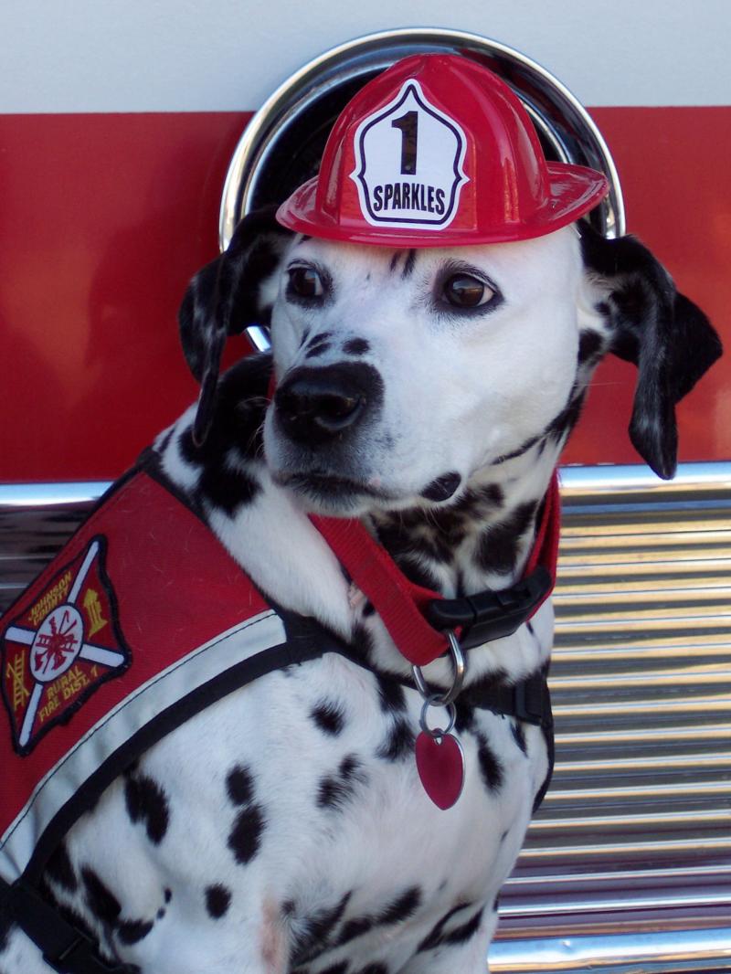 Spotty the Fire Dog and Fire Dog