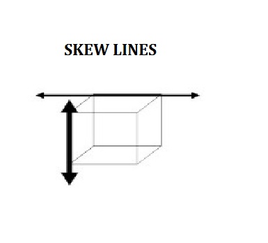 examples of skew lines in real life