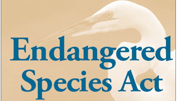 The Endangered Species Act.