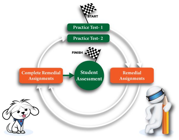 AI-powered Targeted Intervention and Realistic Standardized Test Practice